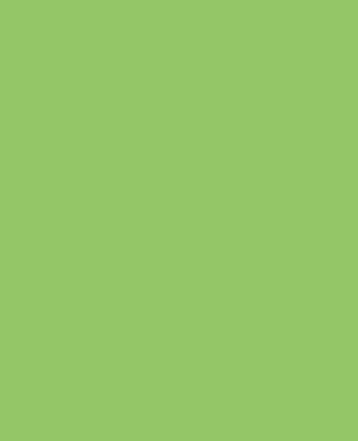 KREUL Acrylic Matt Paint, 50 ml
