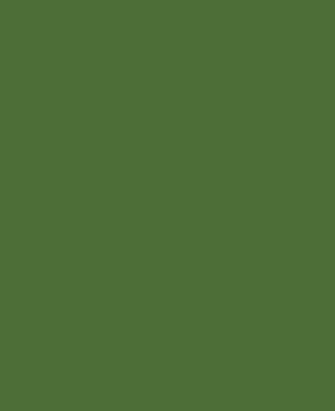 KREUL Acrylic Gloss Paint Olive Green 20 ml