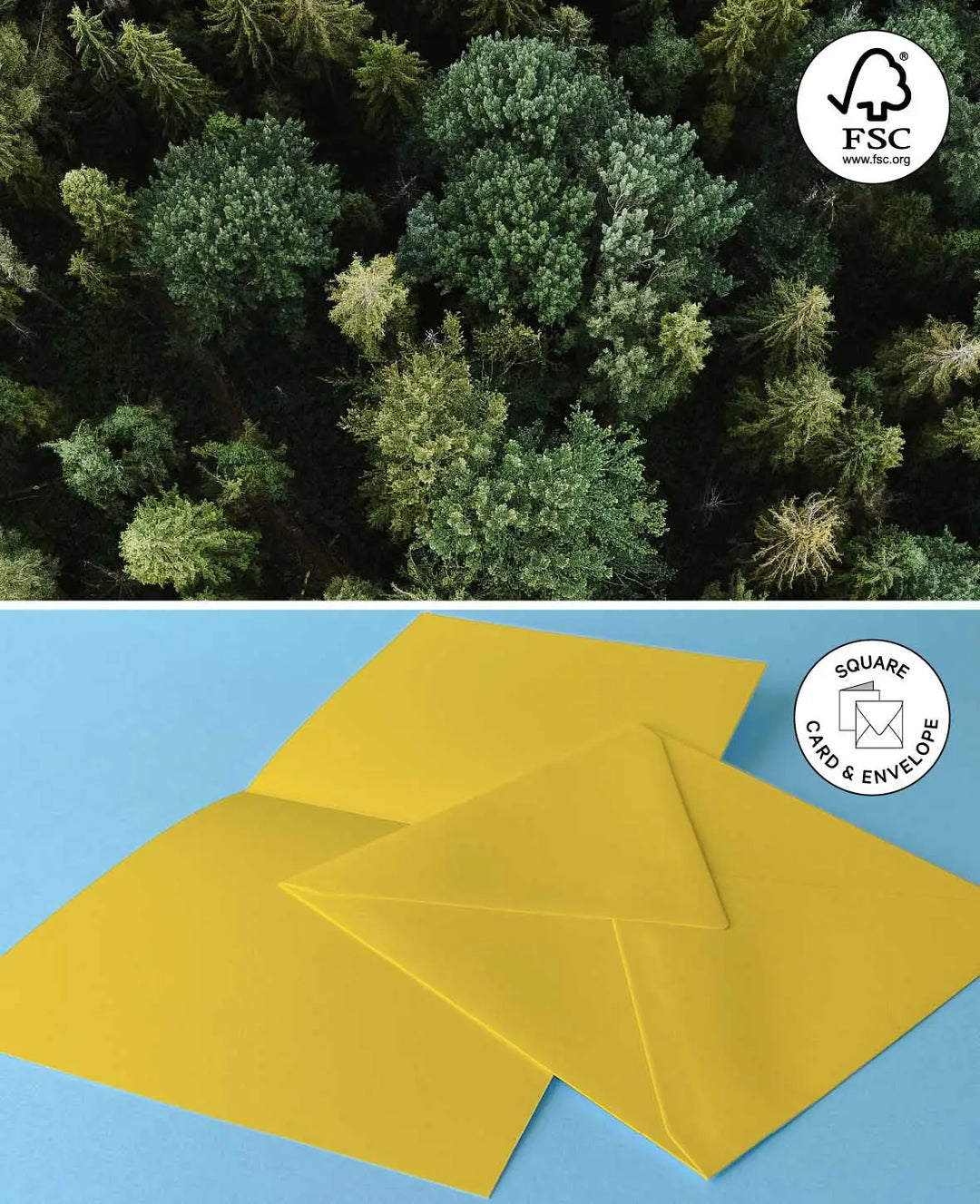 Card &amp; Envelope Set, White, 152 x 152 mm &amp; 160 x 160 mm, 240 &amp; 120 gsm, 5 pieces each