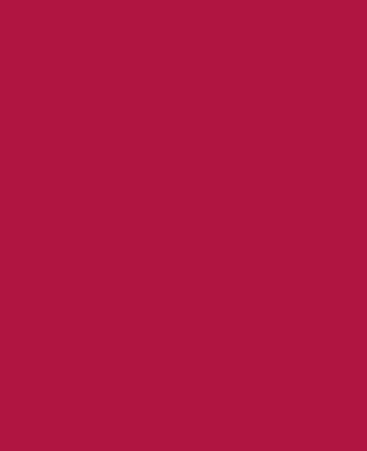 SOLO GOYA Acrylic Paint, Wine Red, 100 ml