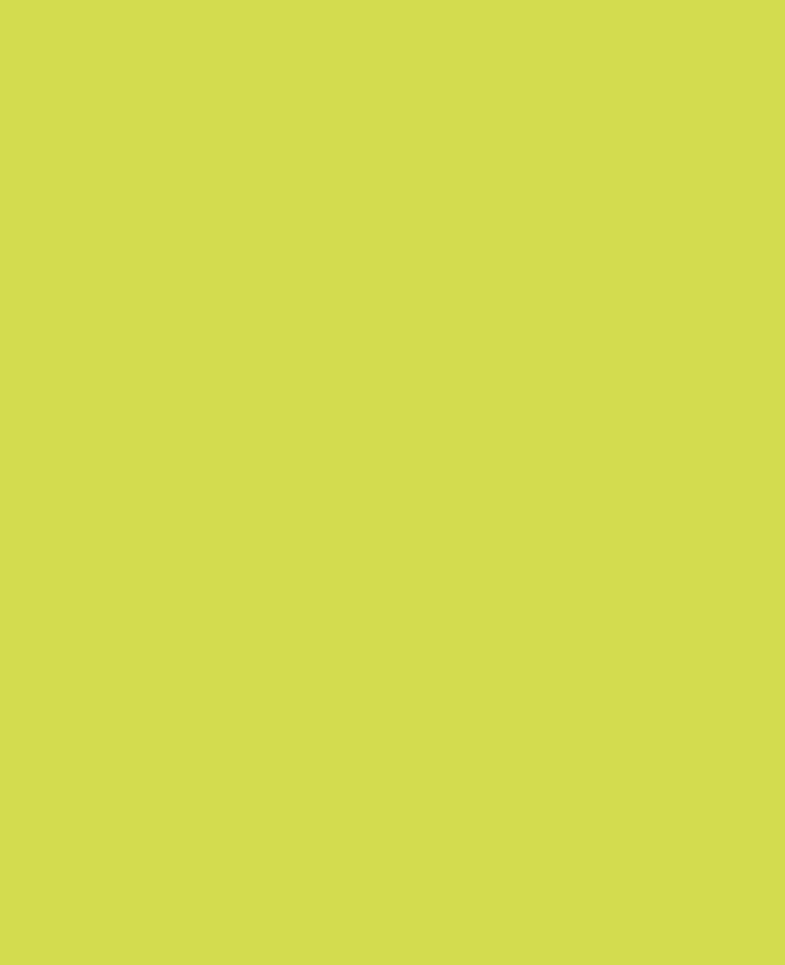 SOLO GOYA Acrylic Paint, Light Green, 100 ml