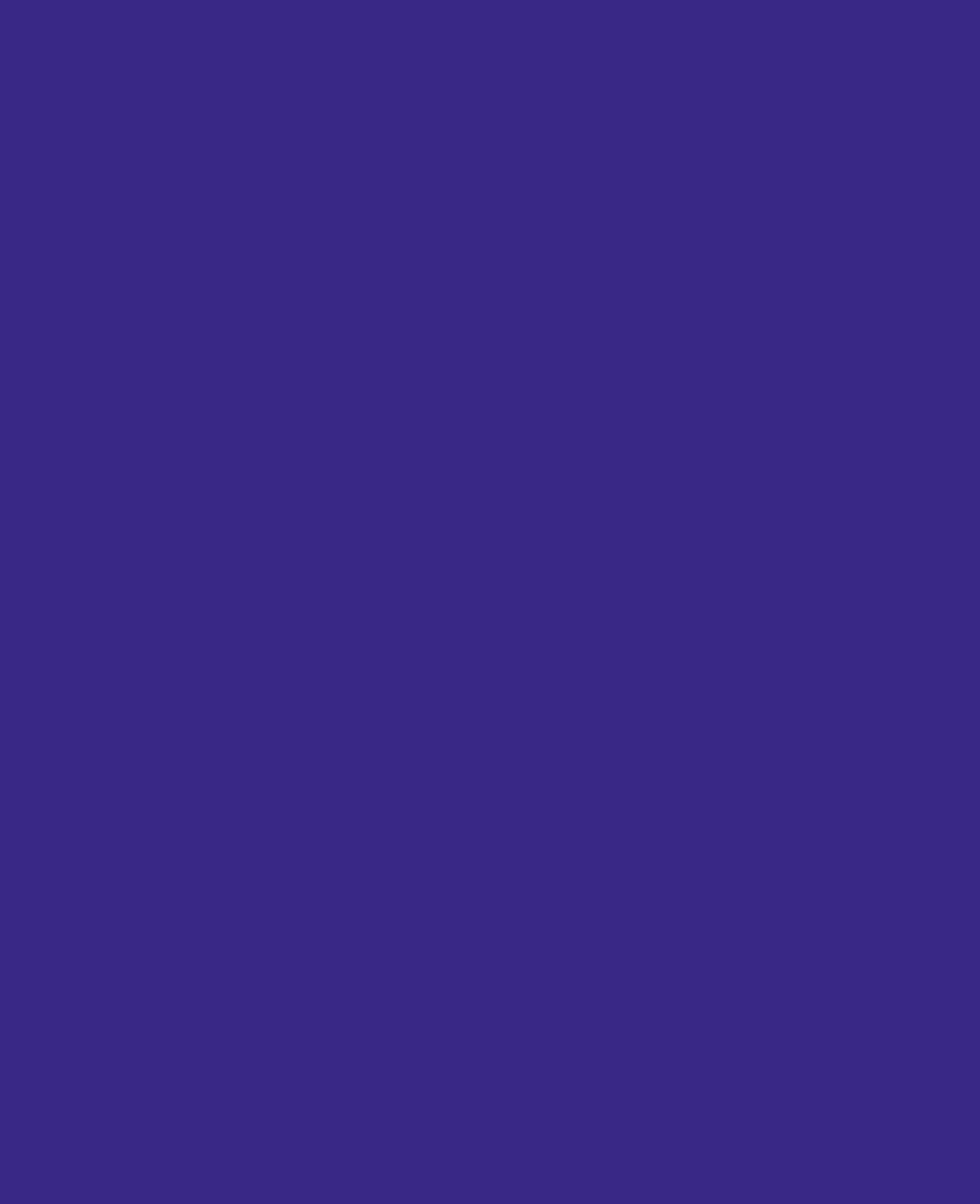 SOLO GOYA Acrylfarbe, Violett, 250 ml