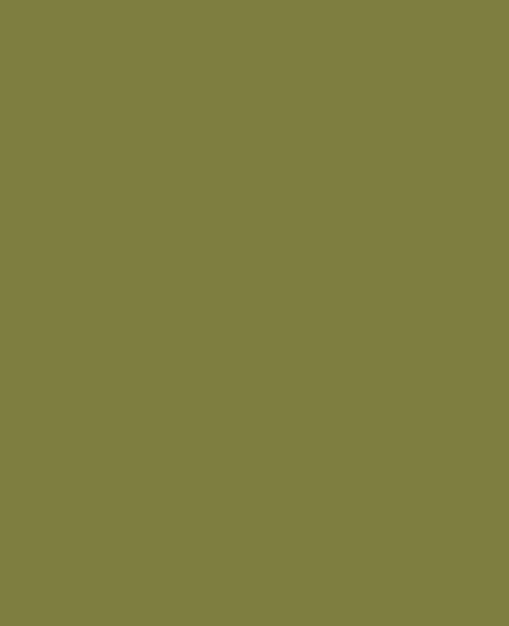 SOLO GOYA Acrylic Paint, Green Earth, 250 ml