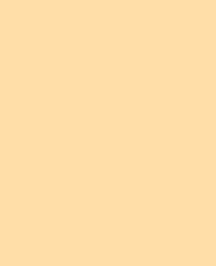 SOLO GOYA Acrylic Paint, Beige, 250 ml