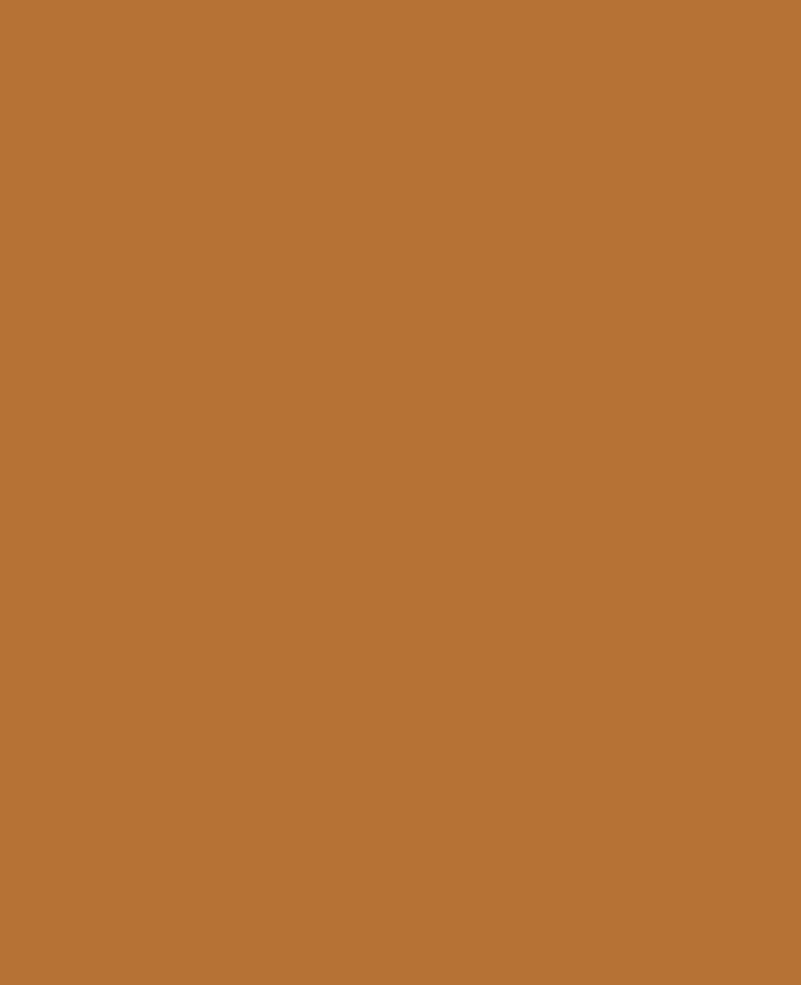 SOLO GOYA Acrylic Paint, Gold Ochre, 250 ml