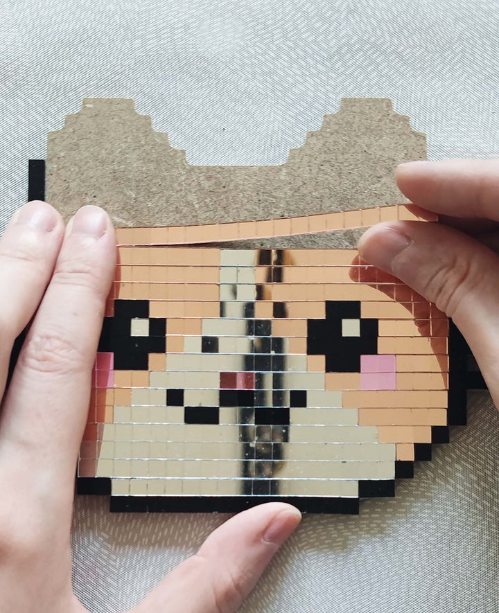 Mirror Pixel Art Cats