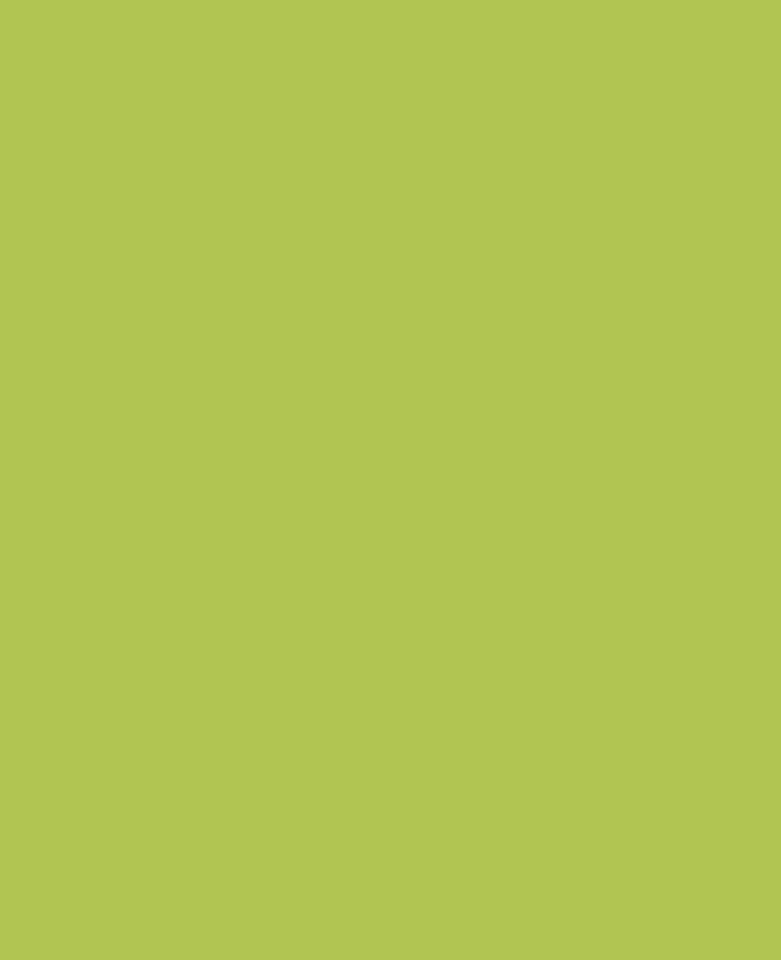KREUL Javana texi mäx Sunny fabric medium for light-colored fabrics Light Green