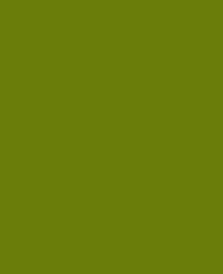 KREUL Javana Peinture pour tissu clair Vert olive 20 ml