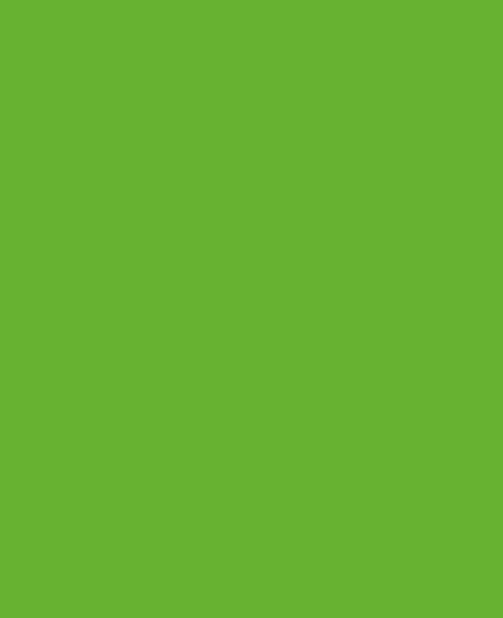 KREUL Javana Peinture pour tissu clair et foncé vert feuille 20 ml